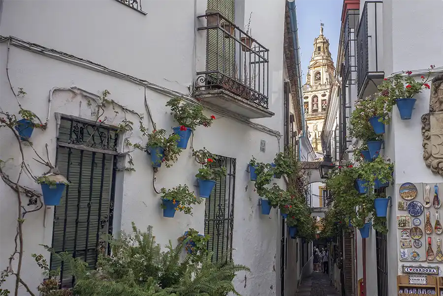 flores-cordoba