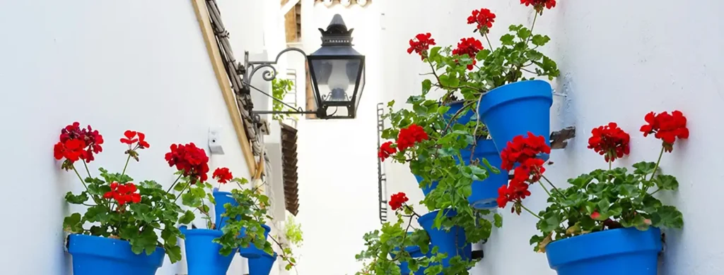 patios-cordoba-2026-4